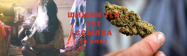 мдпв Богородицк