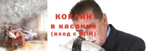 мдпв Богородицк