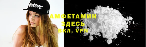 мдпв Богородицк