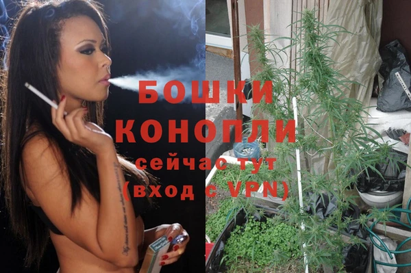 мдпв Богородицк