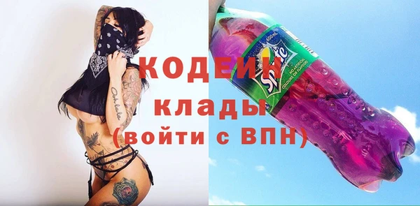 мдпв Богородицк